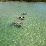 Snorkeling Tours - Image 06"